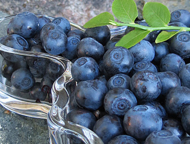 Bilberry and apple salad