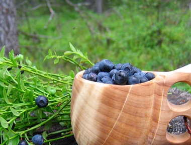 Bilberry syrup